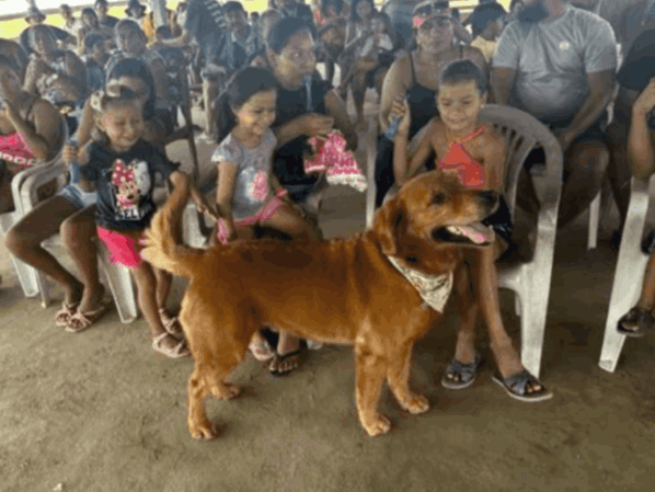 CENTRAL BRAZIL MISSION